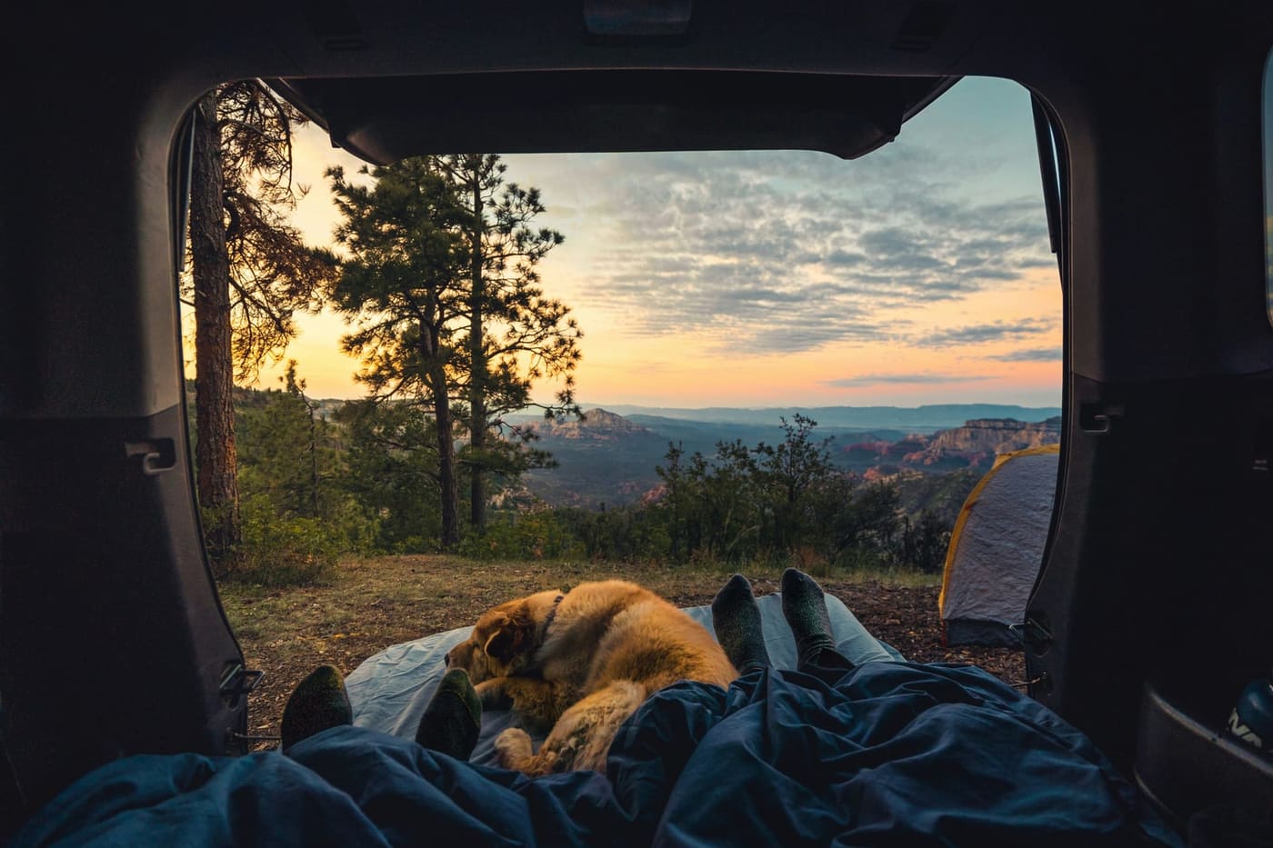 Camping met hond kiezen: soorten, regio's en wat het kost
