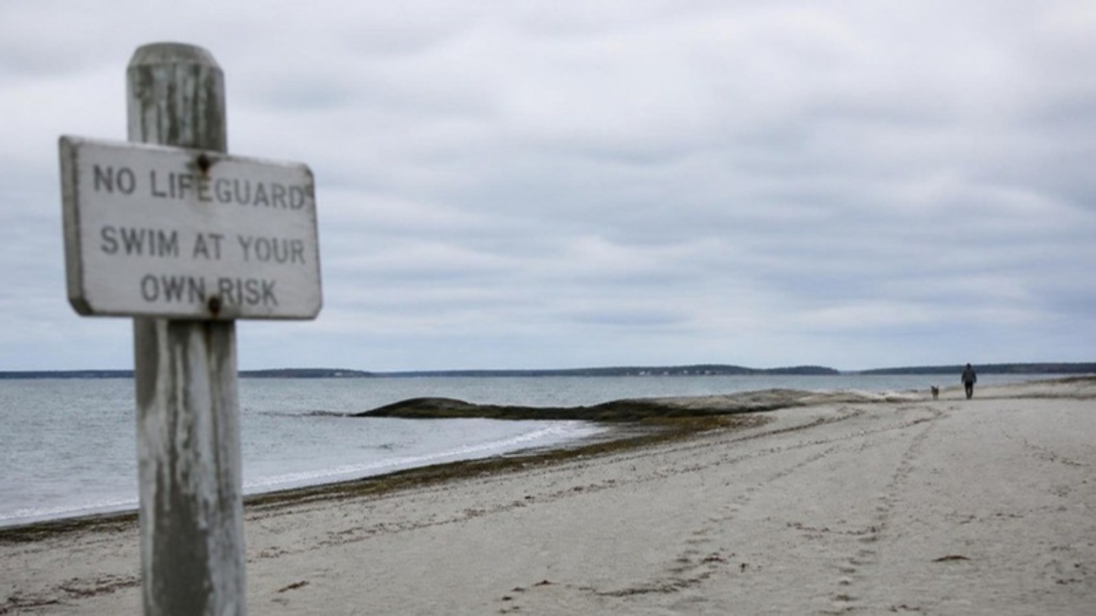 Pourquoi chaque commune côtière a-t-elle des règles différentes pour les chiens sur la plage ?
