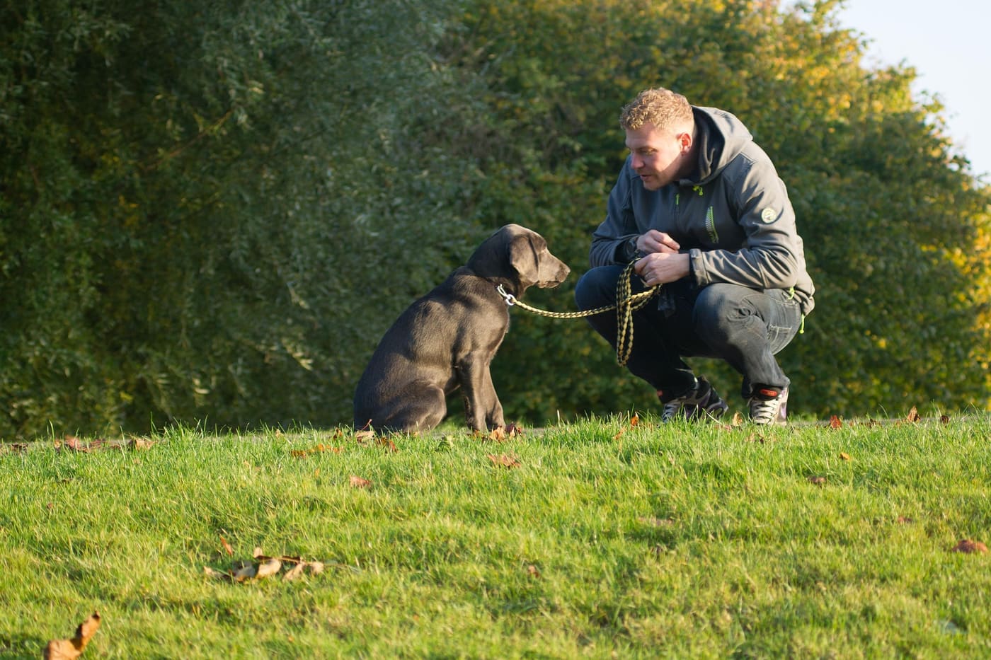 Un homme s'agenouille et établit calmement le contact avec un chien en laisse
