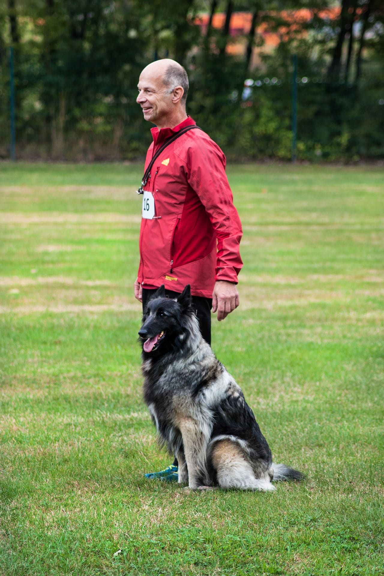 Hond zit netjes naast zijn baasje tijdens een training met startnummer
