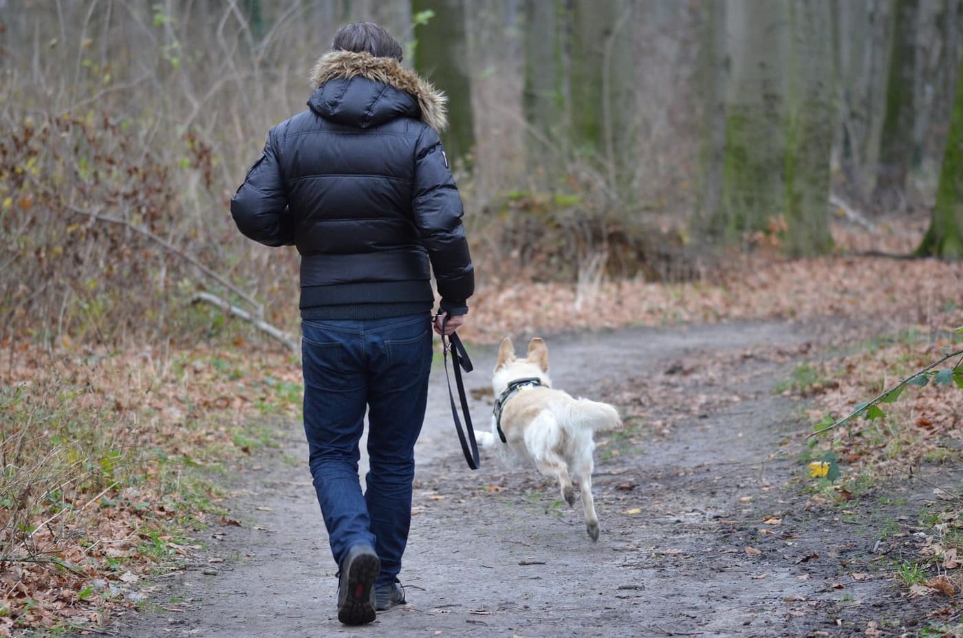De dagelijkse wandeling: haal er meer uit