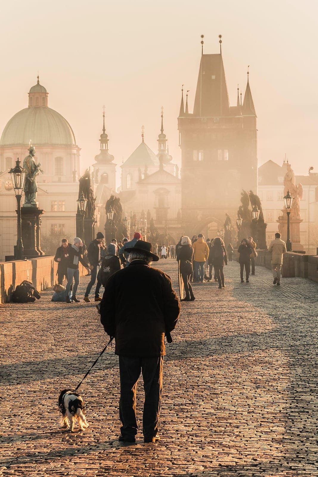 Citytrip met de hond: op stap in de stad