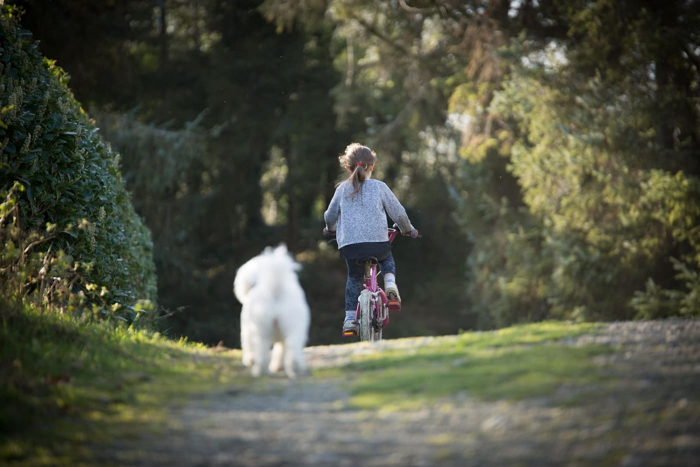 Meisje fietst met een witte hond die meeloopt op een bospad