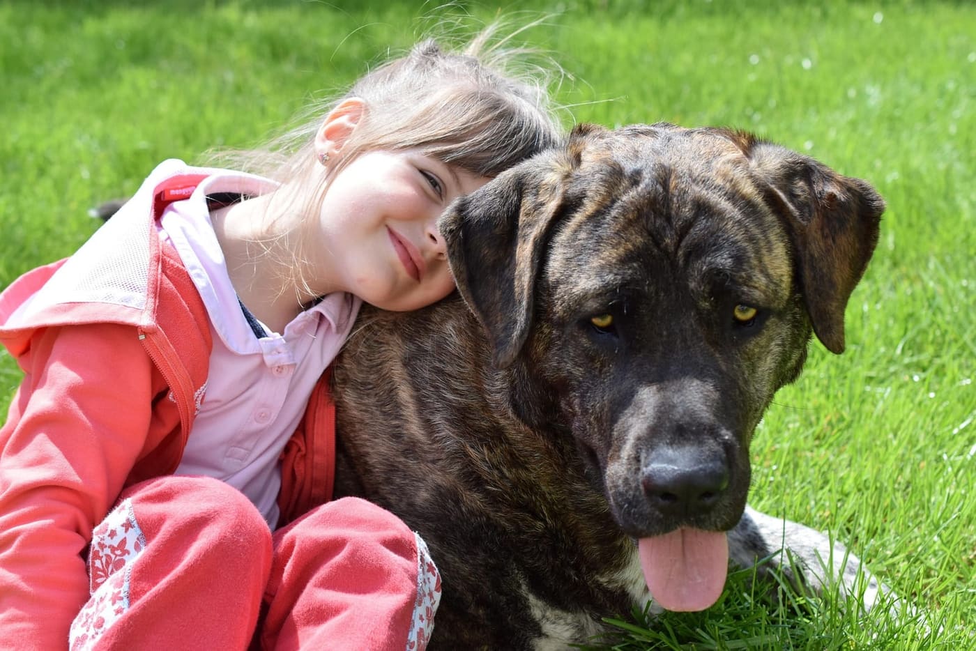 Children and dogs: building a safe friendship