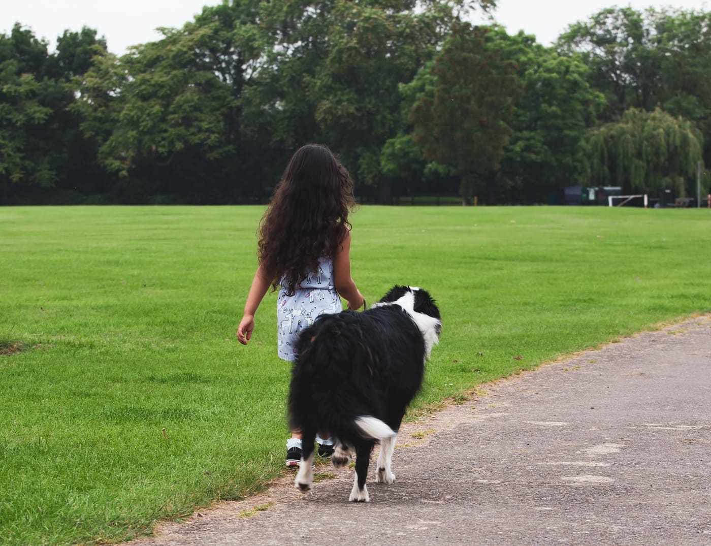 A girl walks with a border collie in the park