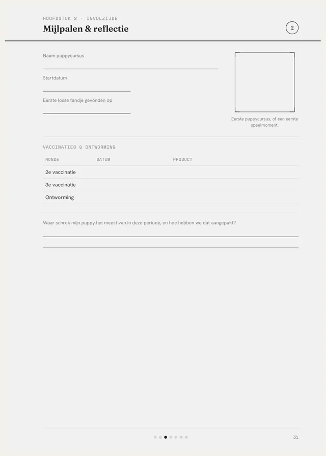 Invulpagina met een fotokader, vaccinaties en lijntjes om zelf in te vullen